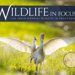 book cover Wildlife in Focus X