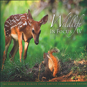 book cover Wildlife in Focus IV