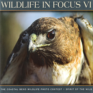 book cover Wildlife in Focus VI