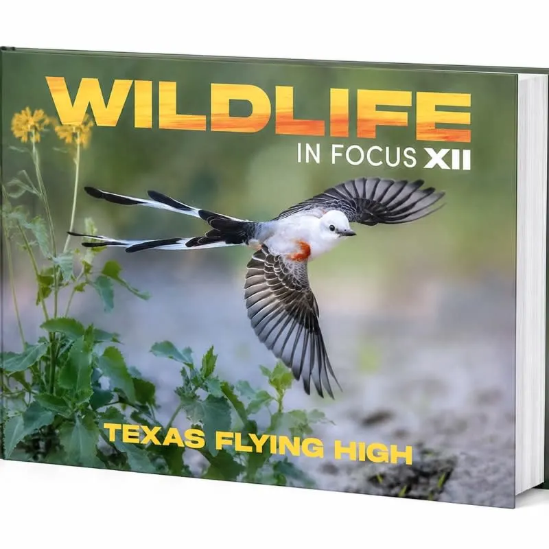 Image of Book Cover with Bird
